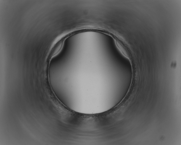 X0000091961222200710041022