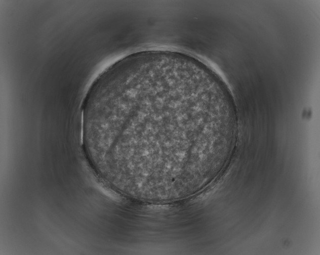 X0000091961223200710041022