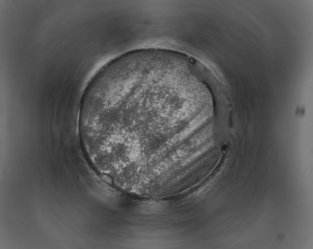 X0000091961224200710041022