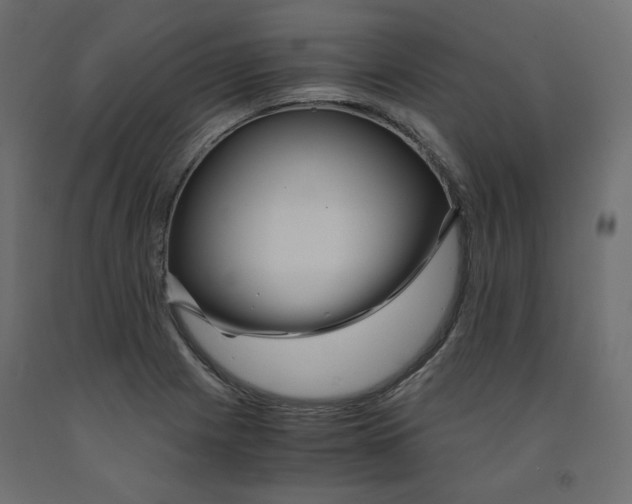 X0000091961225200710041022