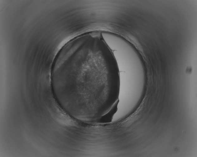 X0000091961226200710041022