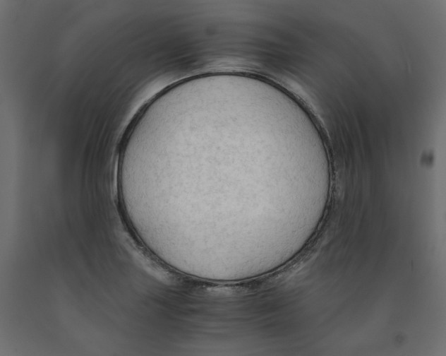 X0000091961227200710041022
