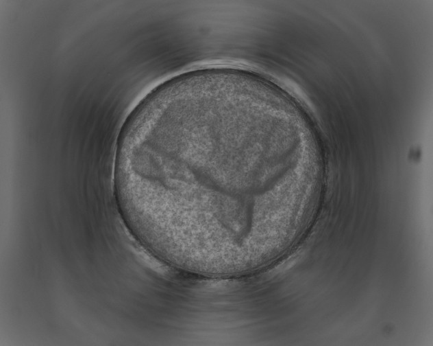 X0000091961228200710041022