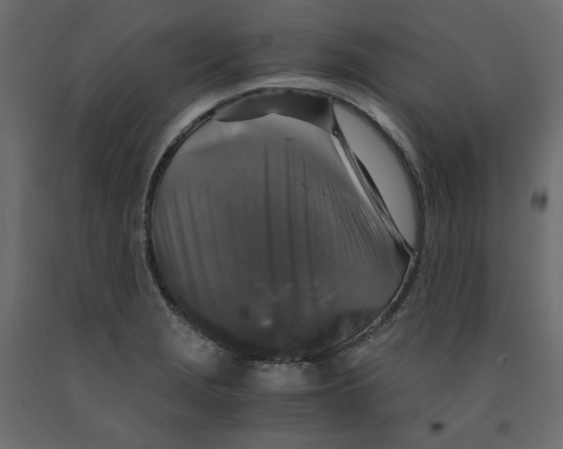 X0000091961229200710041022