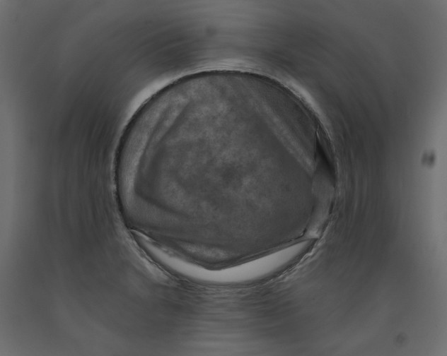 X0000091961230200710041022