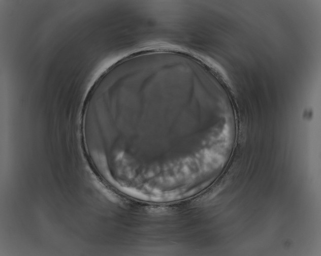 X0000091961231200710041022
