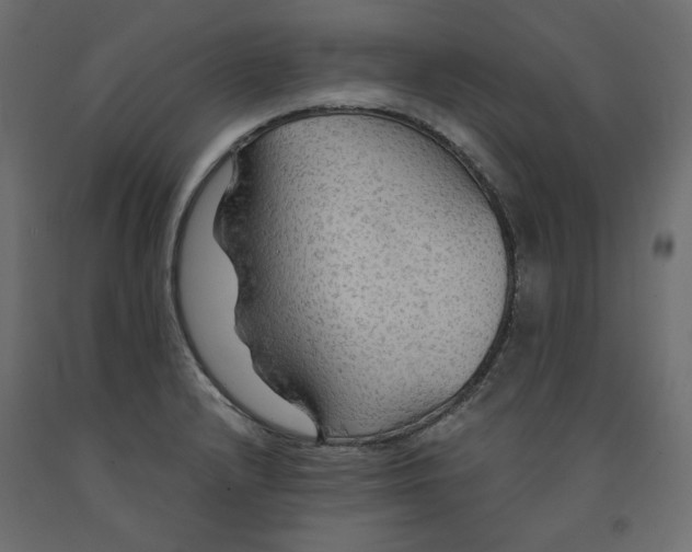 X0000091961232200710041022