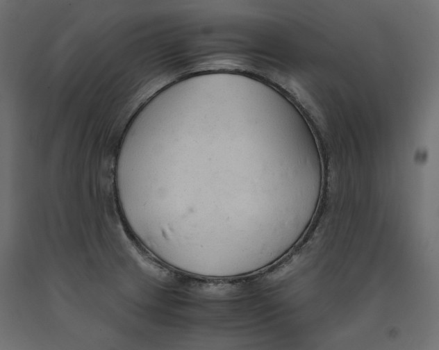 X0000091961233200710041022