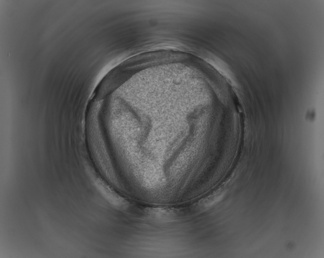 X0000091961234200710041022