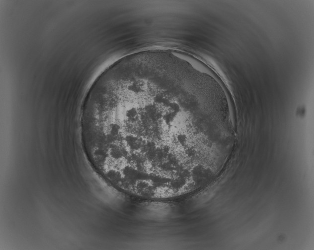 X0000091961235200710041022