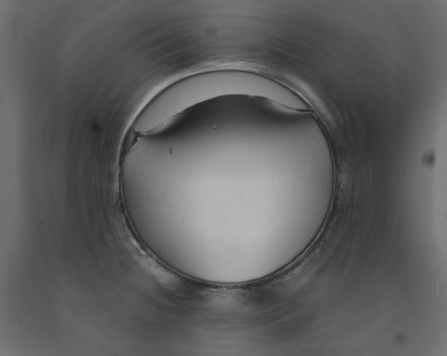X0000091961236200710041022