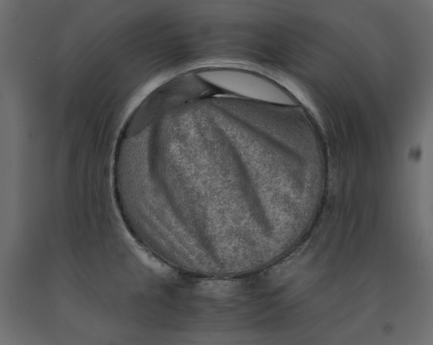 X0000091961237200710041022