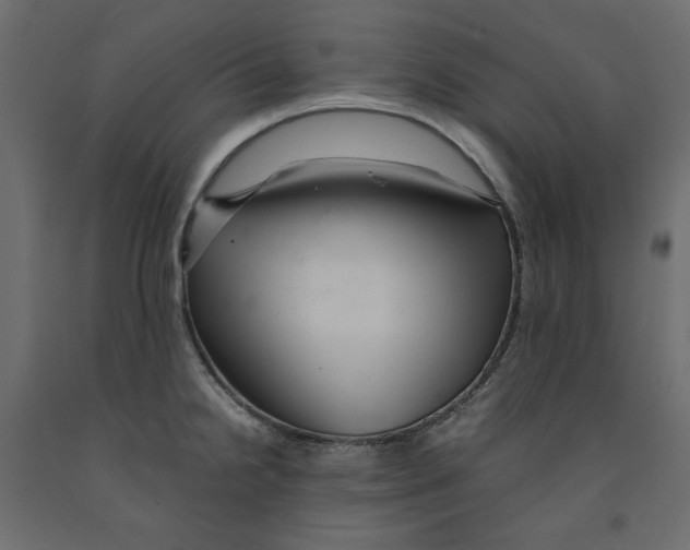 X0000091961238200710041022