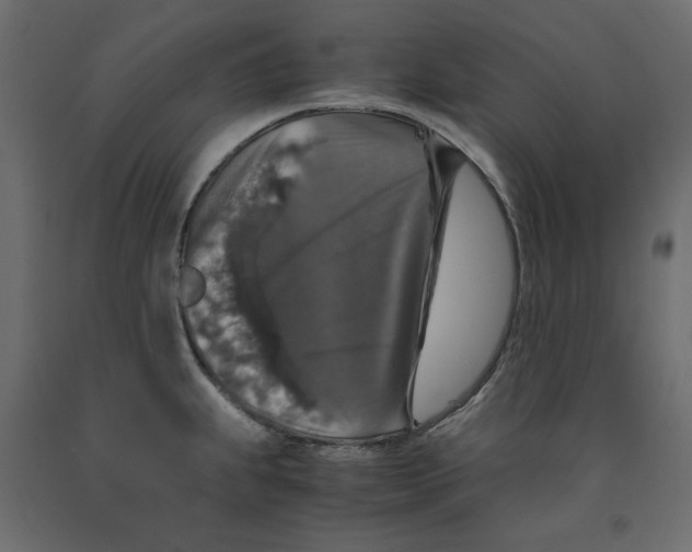 X0000091961239200710041022