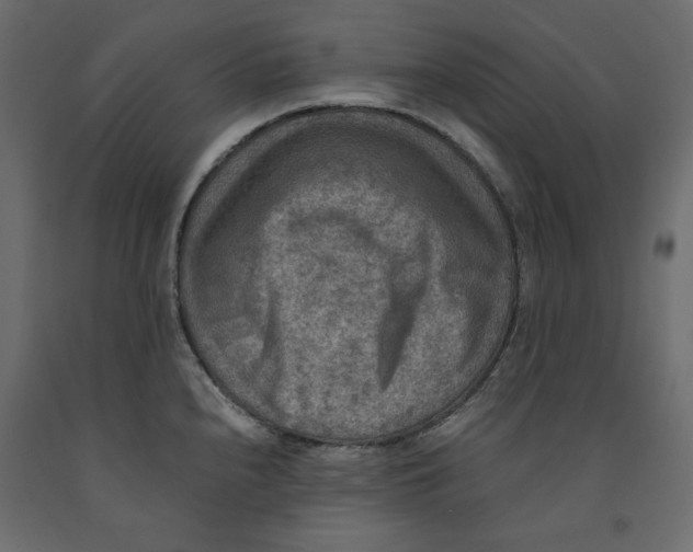 X0000091961240200710041022