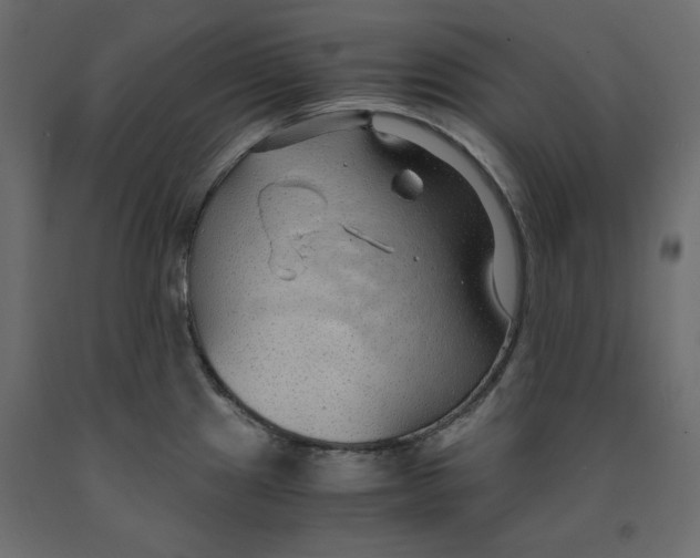 X0000091961241200710041022