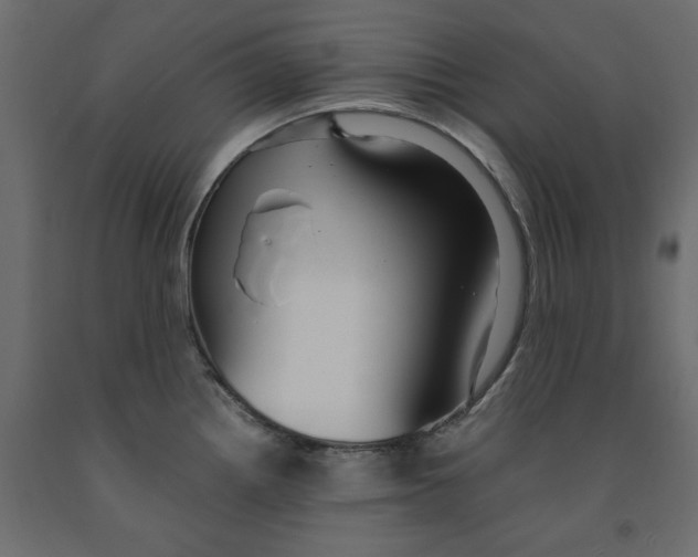 X0000091961242200710041022