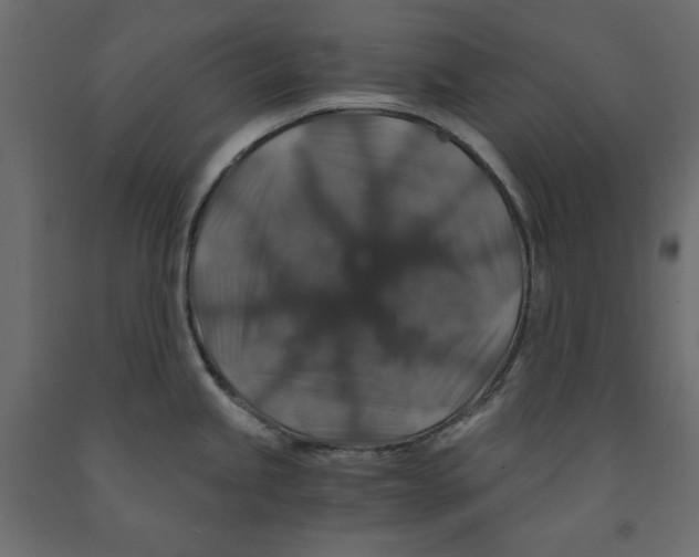 X0000091961245200710041022