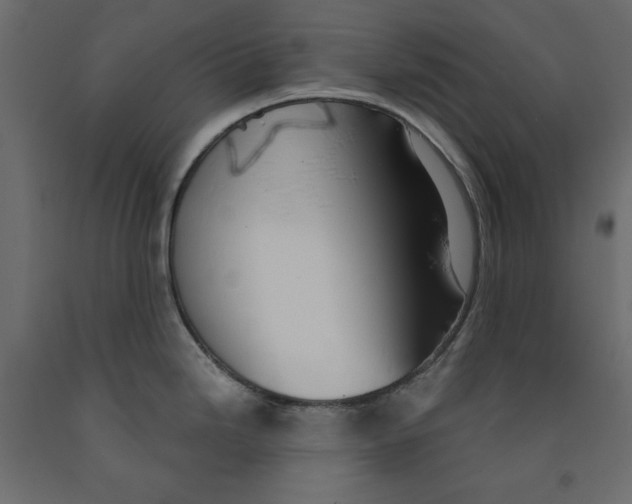 X0000091961246200710041022