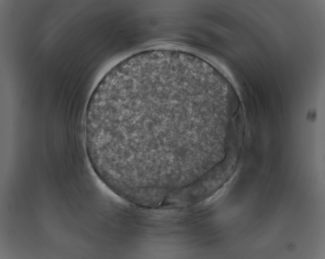 X0000091961247200710041022