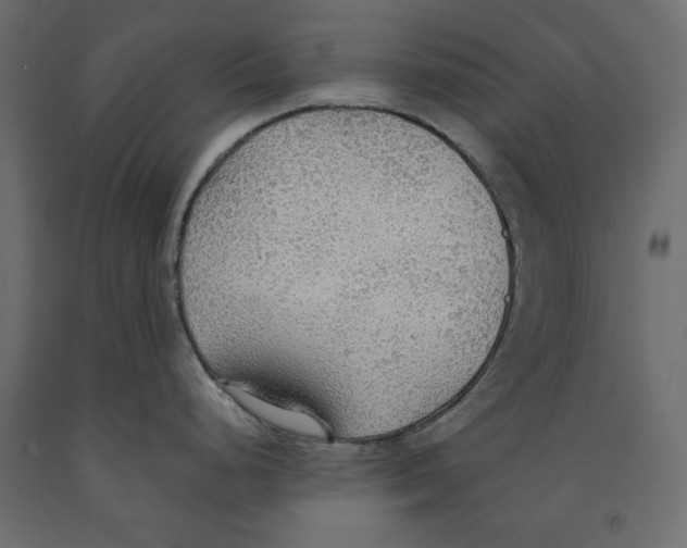 X0000091961248200710041022