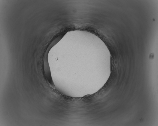 X0000091961249200710041021