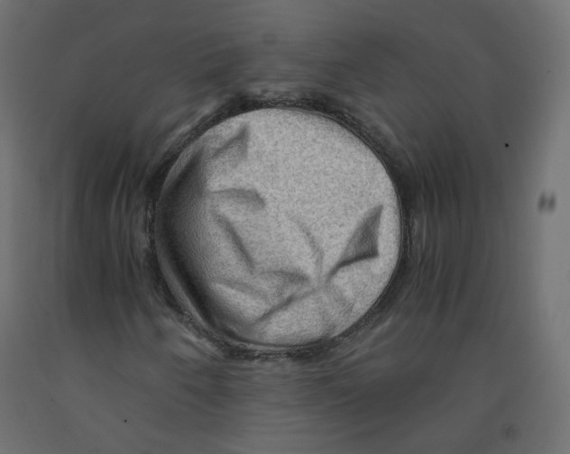 X0000091961250200710041021