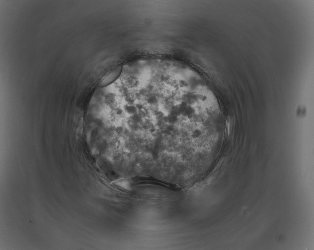 X0000091961251200710041021