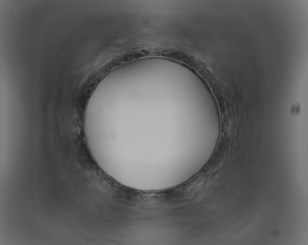 X0000091961253200710041021