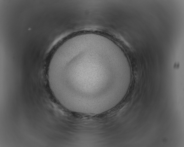 X0000091961256200710041021