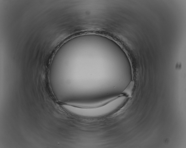 X0000091961257200710041021