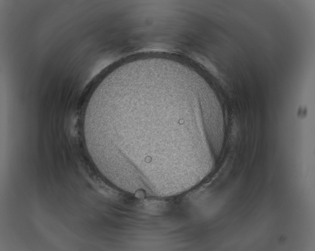 X0000091961258200710041021