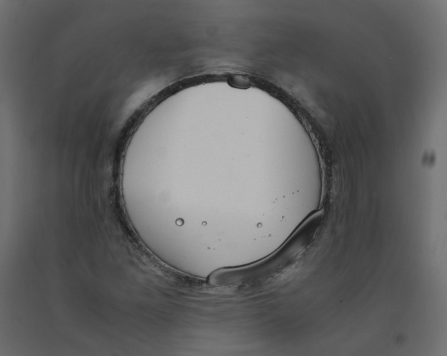 X0000091961261200710041021