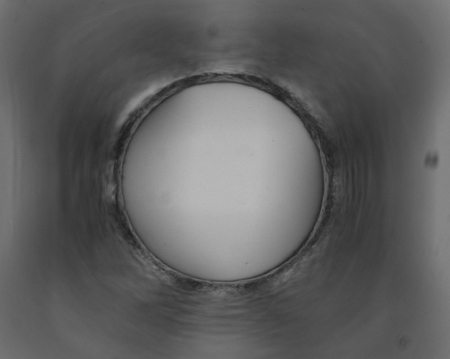 X0000091961262200710041021