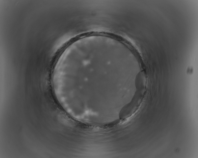 X0000091961263200710041021