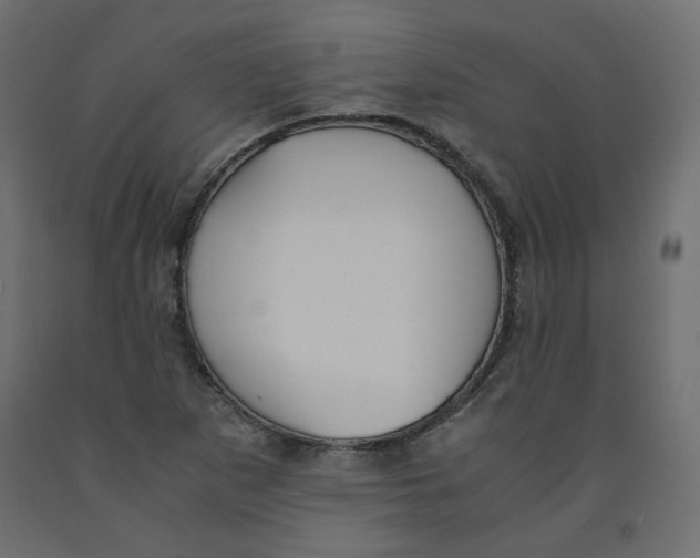 X0000091961265200710041021