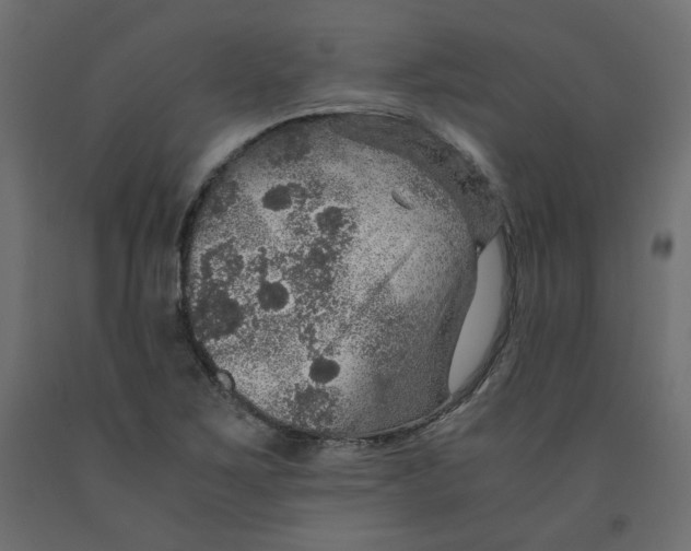 X0000091961267200710041021