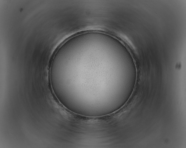 X0000091961268200710041021