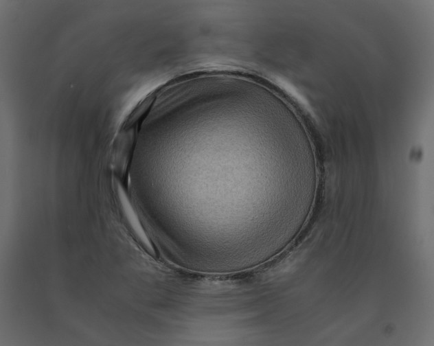 X0000091961269200710041021