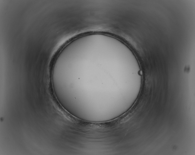 X0000091961270200710041021