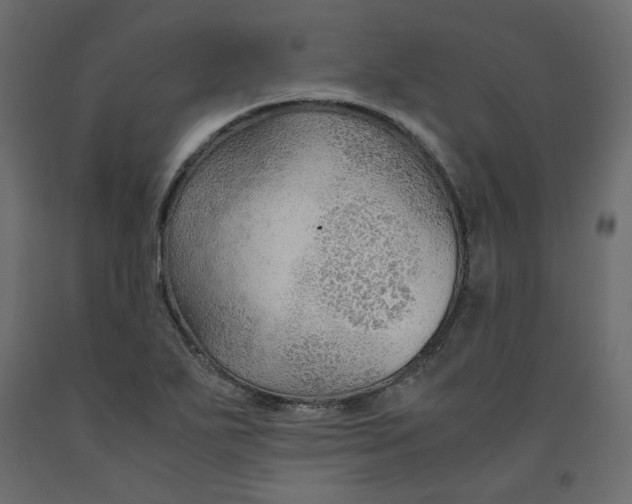 X0000091961271200710041021