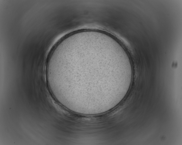 X0000091961272200710041021