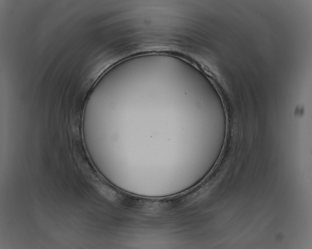 X0000091961273200710041021