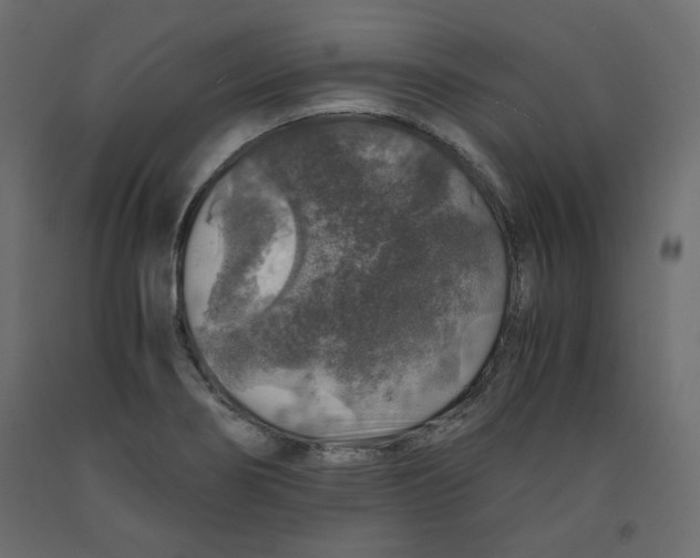 X0000091961274200710041021