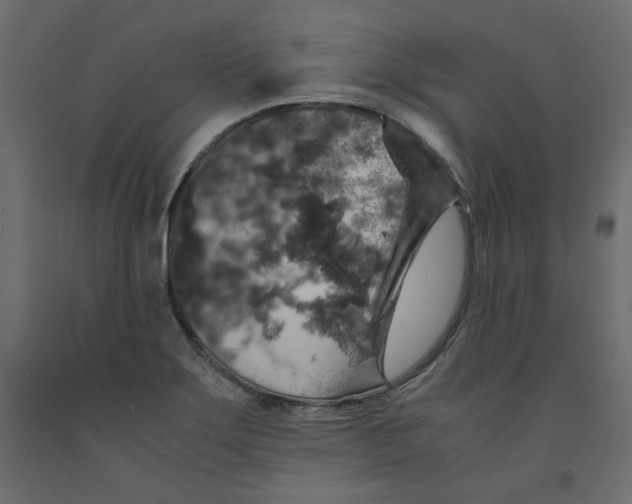 X0000091961275200710041021