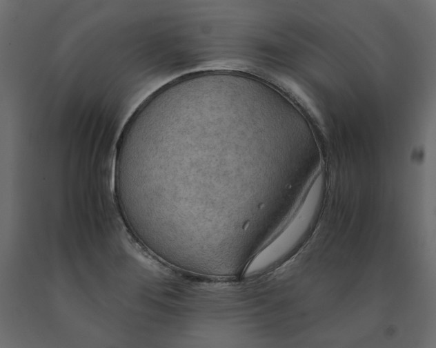 X0000091961276200710041021