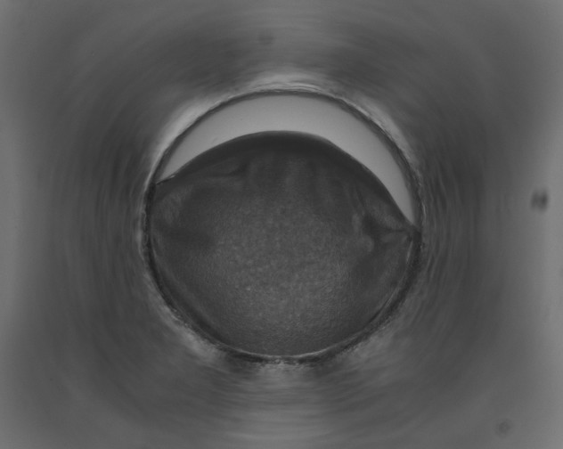 X0000091961277200710041021