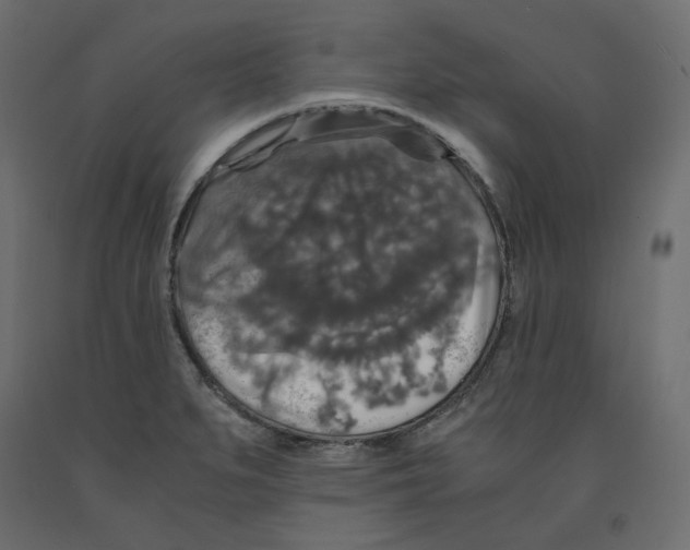 X0000091961279200710041021