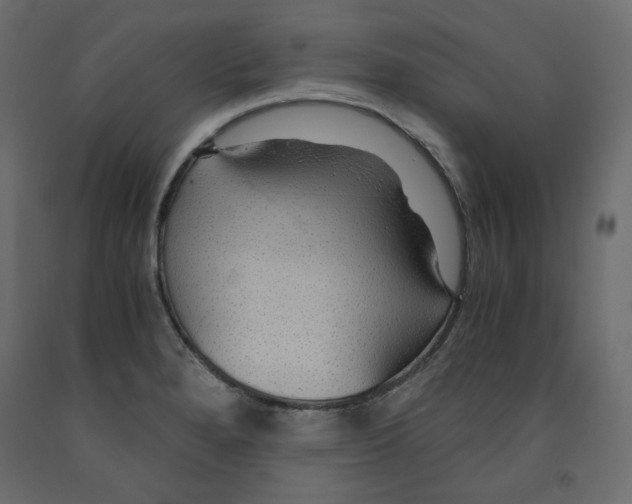 X0000091961280200710041021