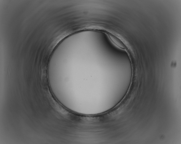 X0000091961281200710041021